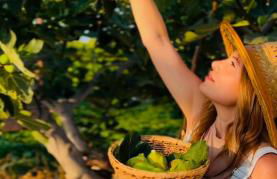 Terra Hélios Suites & Studios - Foto 15