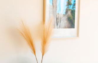 Magníficos Dias Atlânticos - Foto 55