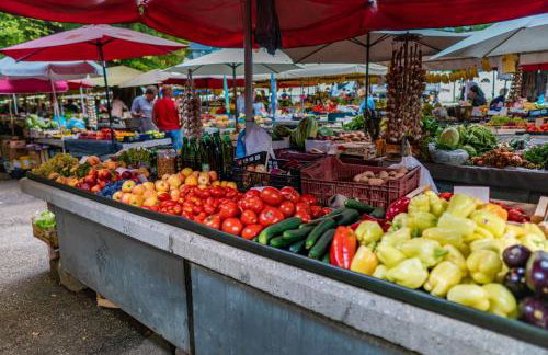 Apartment BUGA - Photo 16