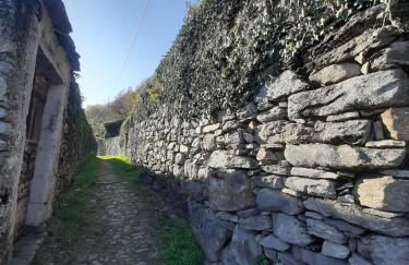 Residenza Le Camelie - Foto 29