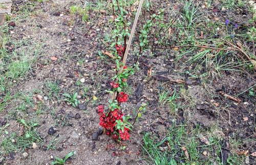 Maison charmante à Vachères avec vue sur la montagne - Foto 41