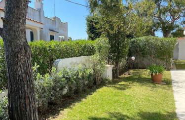 villa a Marina di Ostuni - Foto 3