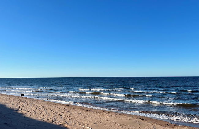 Green Gables Bungalow Court - Photo 79