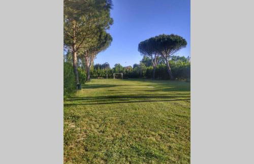 LA PIGNA mare, collina, Ravenna, Mirabilandia, Cottignola - Foto 33