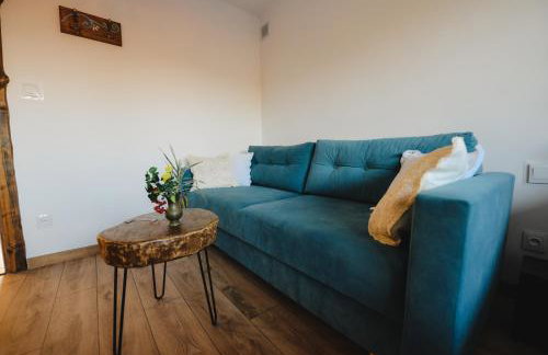 Apartament Zielony Ruczaj w Cisnej - Photo 10