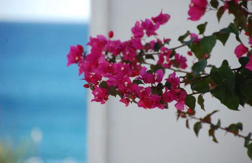 Fantastica casa in stile mediterraneo - Al Ficodindia - Foto 27