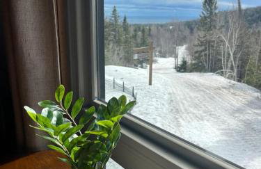 Ski in Ski out Cozy Studio Condo, Pool, Hot Tub, Views of Moose Mtn - Foto 21