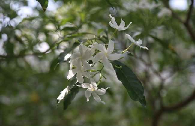 Na Sook Resort - Photo 77