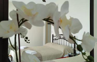 Paradise Garden Paros - Photo 11