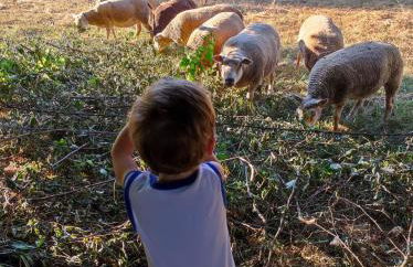 Gite du Dolmen classé 3 épis - Photo 26