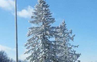 Chalet renovated Near Casino, Camelback , Kalahari 4bdrms firepit hot tub game room - Foto 2