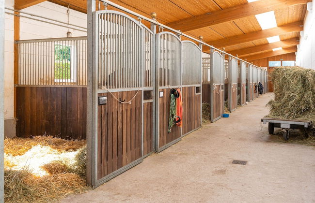 Blockhauser auf Reiterhof in Eschede - Foto 60