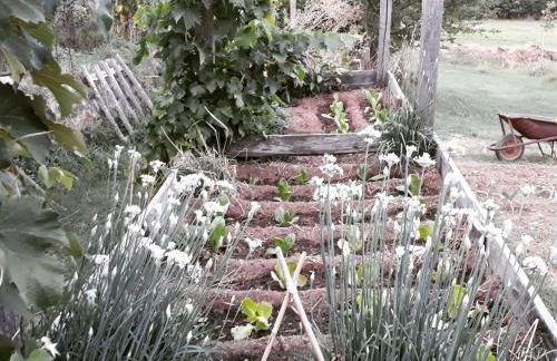 Podere Pievina Delle Corti - Dimora di Campagna - Photo 27