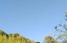 Chalé No Mundo da Lua - Photo 11