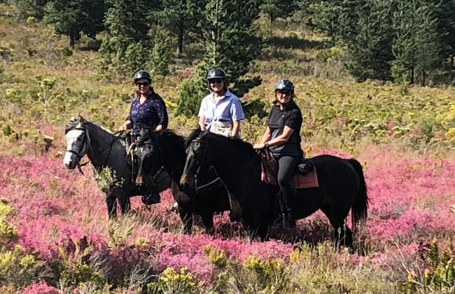 Oudebosch Guest Farm - Foto 21