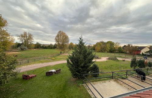 Ruhiges Wohlfühlzimmer auf dem Pferdehof Gut Greppin - mit Kochnische, WLAN & kostenlosem Parken - Foto 7