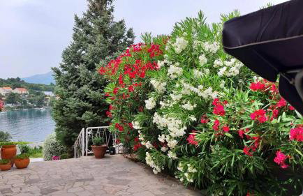 Studio apartman Kornelija - Foto 9