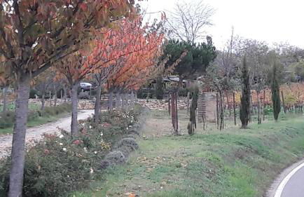 Ferienwohnung Zum Weinberg bis 4 Personen - Im Herzen der Pfalz - Foto 52