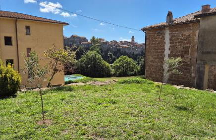 La Pergola del Kiwi a Pitigliano - Foto 51