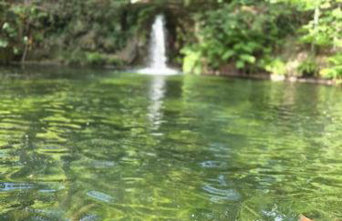 Studio Gerês - Foto 27