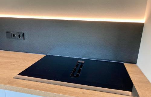 Bergelemente - Gmundberg Apartment - Foto 37