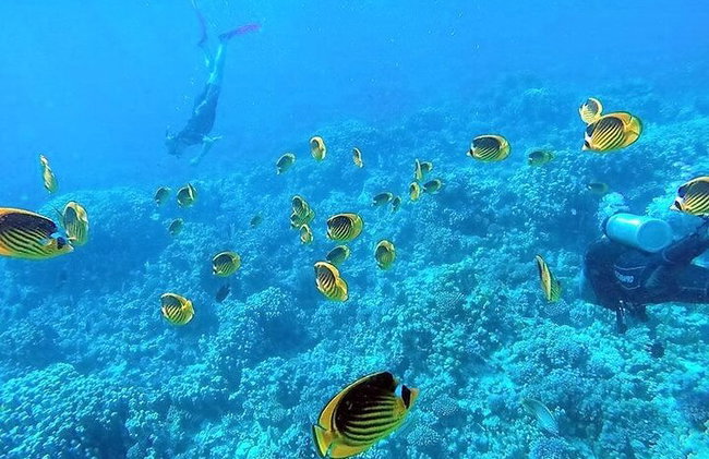Increíbles 4 días en El Cairo, Luxor, Safari, Esnórquel desde Hurghada. - Foto 6