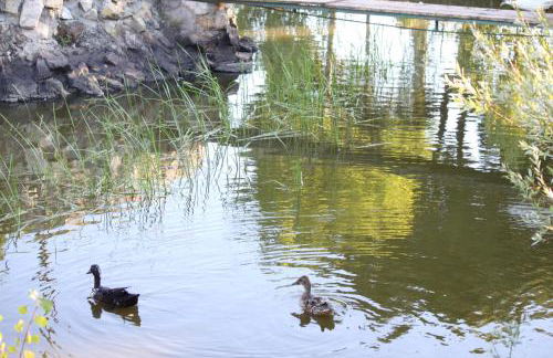 Agriresidence Debbiare - Foto 33