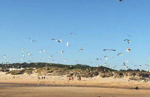 Summer holiday - Foto 31