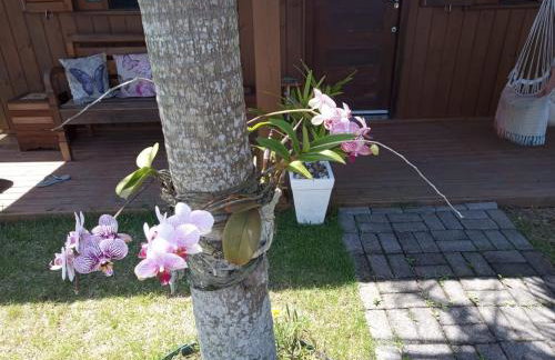 Recanto da Natureza - Foto 12