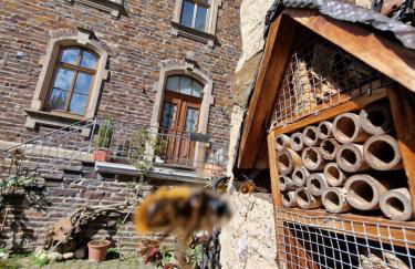 Winzervilla - Foto 15