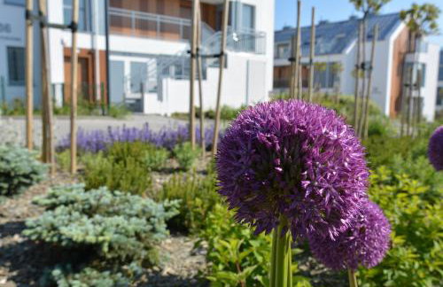 Mario Mechelinki - Foto 45