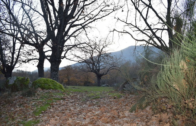 CASA RURAL LAS NAVILLAS - Foto 16