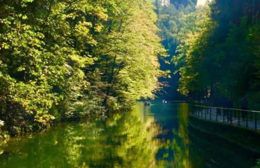 Ferienwohnung Schlesinger - Foto 11