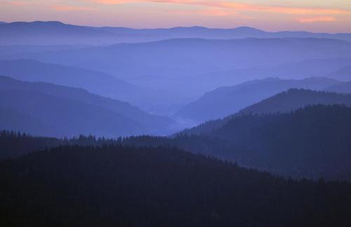 Ferienhaus Sunny - Photo 9