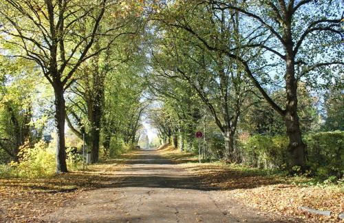 Fewo Waldfeeling - Foto 23