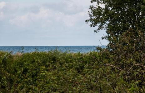 Dünenblick 03 - Foto 24