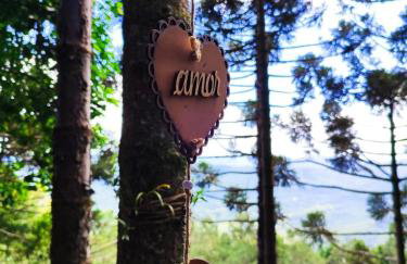 Cabanas da Mata Com Vista para as Montanhas na Serra Gaúcha - Foto 18