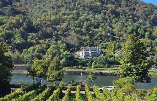 Hakans moselblick Ferienwohnung 2 - Foto 1