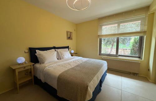 Blue Angel Villa Luxury Seafront Estate - Foto 40