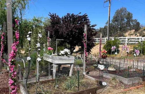 Amazing Ranch Home in Temecula wine country - Foto 27