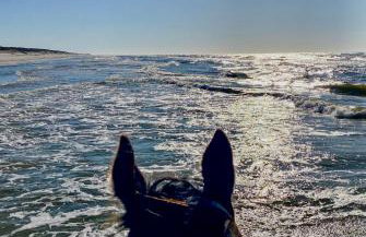 Mila Morska Kopalino - Foto 57