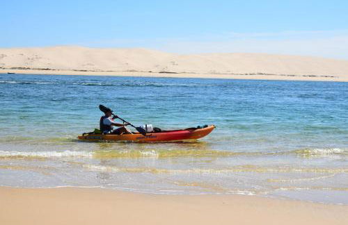 Fare Bambou - Foto 66