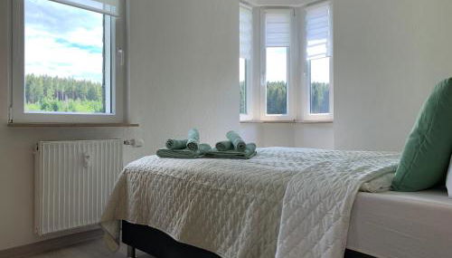 FaFeWo Ferienwohnungen mit Sternekomfort in Tanne Harz - Foto 2