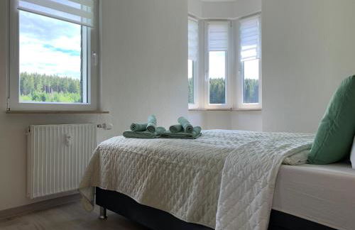 FaFeWo Ferienwohnungen mit Sternekomfort in Tanne Harz - Foto 2