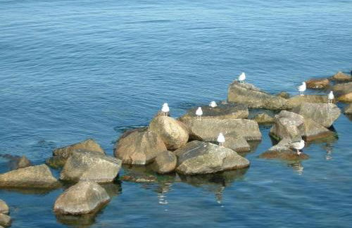 Baltic Sea Views & Cozy Comfort - Foto 32