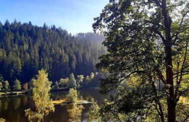 FeWo Schwarzwald von oben - Kniebis - Foto 24