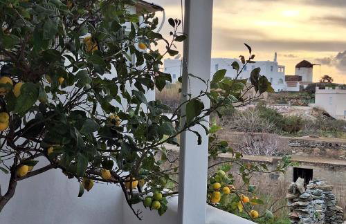 SUMMER House 2 - Foto 5