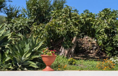 Casa Pietro - Foto 25