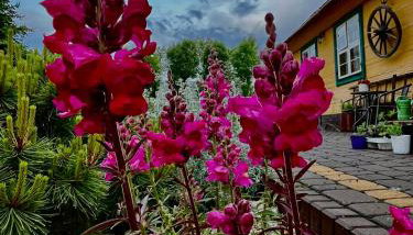 Żuławska Chata - Foto 5