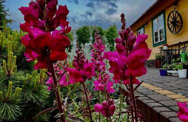 Żuławska Chata - Foto 5